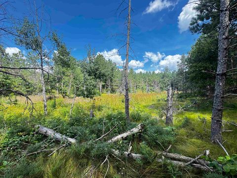 Tiny photo for 80 AC 14th Ct Acres, Arcadia, WI 54613 (MLS # 2009960)