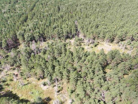 Tiny photo for 80 AC 14th Ct Acres, Arcadia, WI 54613 (MLS # 2009960)