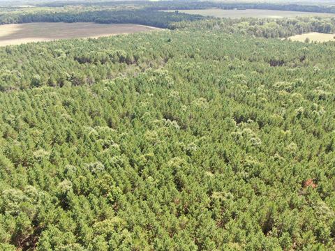Tiny photo for 80 AC 14th Ct Acres, Arcadia, WI 54613 (MLS # 2009960)
