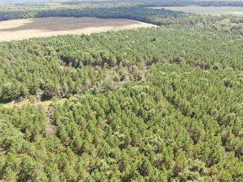 Tiny photo for 80 AC 14th Ct Acres, Arcadia, WI 54613 (MLS # 2009960)