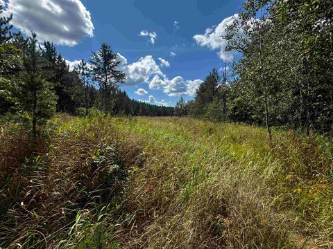 Tiny photo for 80 AC 14th Ct Acres, Arcadia, WI 54613 (MLS # 2009960)