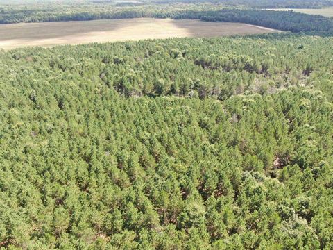 Tiny photo for 80 AC 14th Ct Acres, Arcadia, WI 54613 (MLS # 2009960)