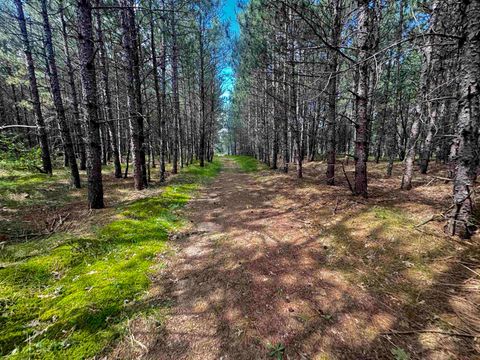 Tiny photo for 80 AC 14th Ct Acres, Arcadia, WI 54613 (MLS # 2009960)