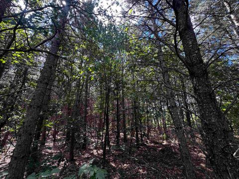 Tiny photo for 80 AC 14th Ct Acres, Arcadia, WI 54613 (MLS # 2009960)