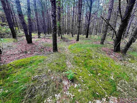 Tiny photo for 80 AC 14th Ct Acres, Arcadia, WI 54613 (MLS # 2009960)