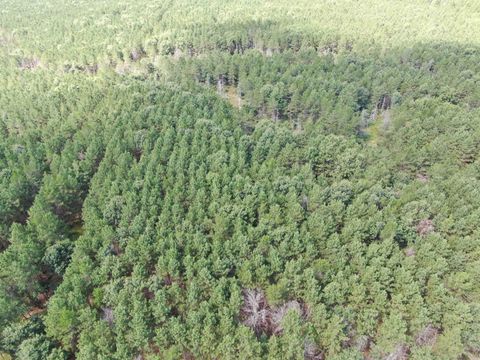 Tiny photo for 80 AC 14th Ct Acres, Arcadia, WI 54613 (MLS # 2009960)