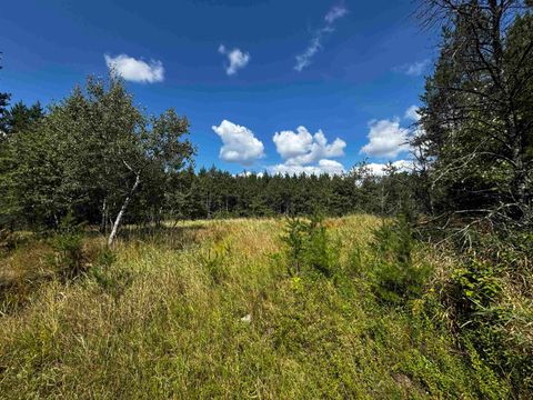 Tiny photo for 80 AC 14th Ct Acres, Arcadia, WI 54613 (MLS # 2009960)