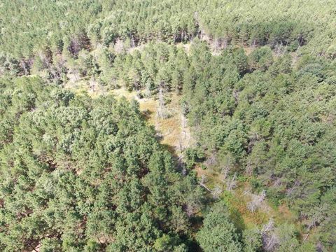 Tiny photo for 80 AC 14th Ct Acres, Arcadia, WI 54613 (MLS # 2009960)