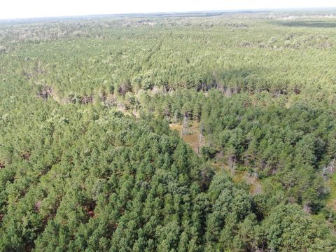Tiny photo for 80 AC 14th Ct Acres, Arcadia, WI 54613 (MLS # 2009960)