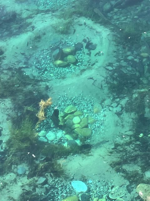 Tiny photo for W271 Highway 23/49, Ripon, WI 54971 (MLS # 2002922)