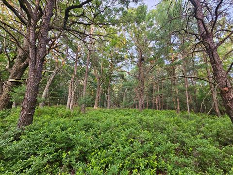 Tiny photo for N6619 18th Avenue, Neshkoro, WI 54960 (MLS # 2003895)