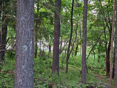 Tiny photo for N6619 18th Avenue, Neshkoro, WI 54960 (MLS # 2003895)
