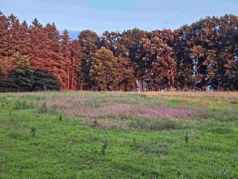Tiny photo for N6619 18th Avenue, Neshkoro, WI 54960 (MLS # 2003895)