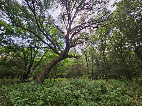 Tiny photo for N6619 18th Avenue, Neshkoro, WI 54960 (MLS # 2003895)