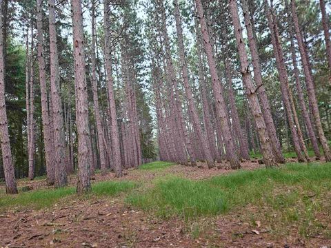 Tiny photo for N6619 18th Avenue, Neshkoro, WI 54960 (MLS # 2003895)