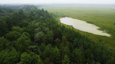 Tiny photo for N6619 18th Avenue, Neshkoro, WI 54960 (MLS # 2003895)