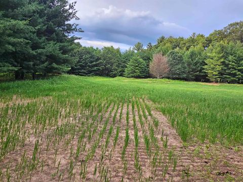 Tiny photo for N6619 18th Avenue, Neshkoro, WI 54960 (MLS # 2003895)