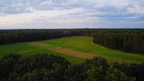 Tiny photo for N6619 18th Avenue, Neshkoro, WI 54960 (MLS # 2003895)