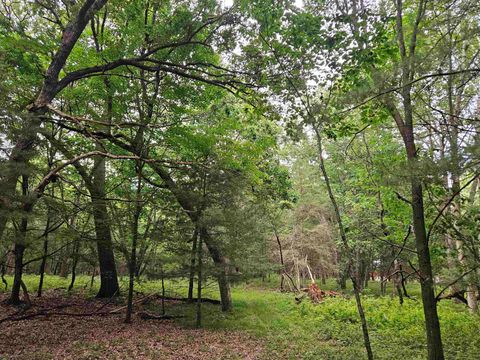 Tiny photo for N6619 18th Avenue, Neshkoro, WI 54960 (MLS # 2003895)