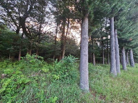 Tiny photo for N6619 18th Avenue, Neshkoro, WI 54960 (MLS # 2003895)