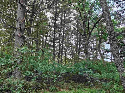Tiny photo for N6619 18th Avenue, Neshkoro, WI 54960 (MLS # 2003895)