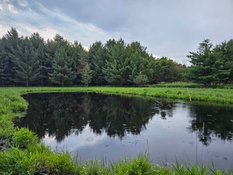 Tiny photo for N6619 18th Avenue, Neshkoro, WI 54960 (MLS # 2003895)