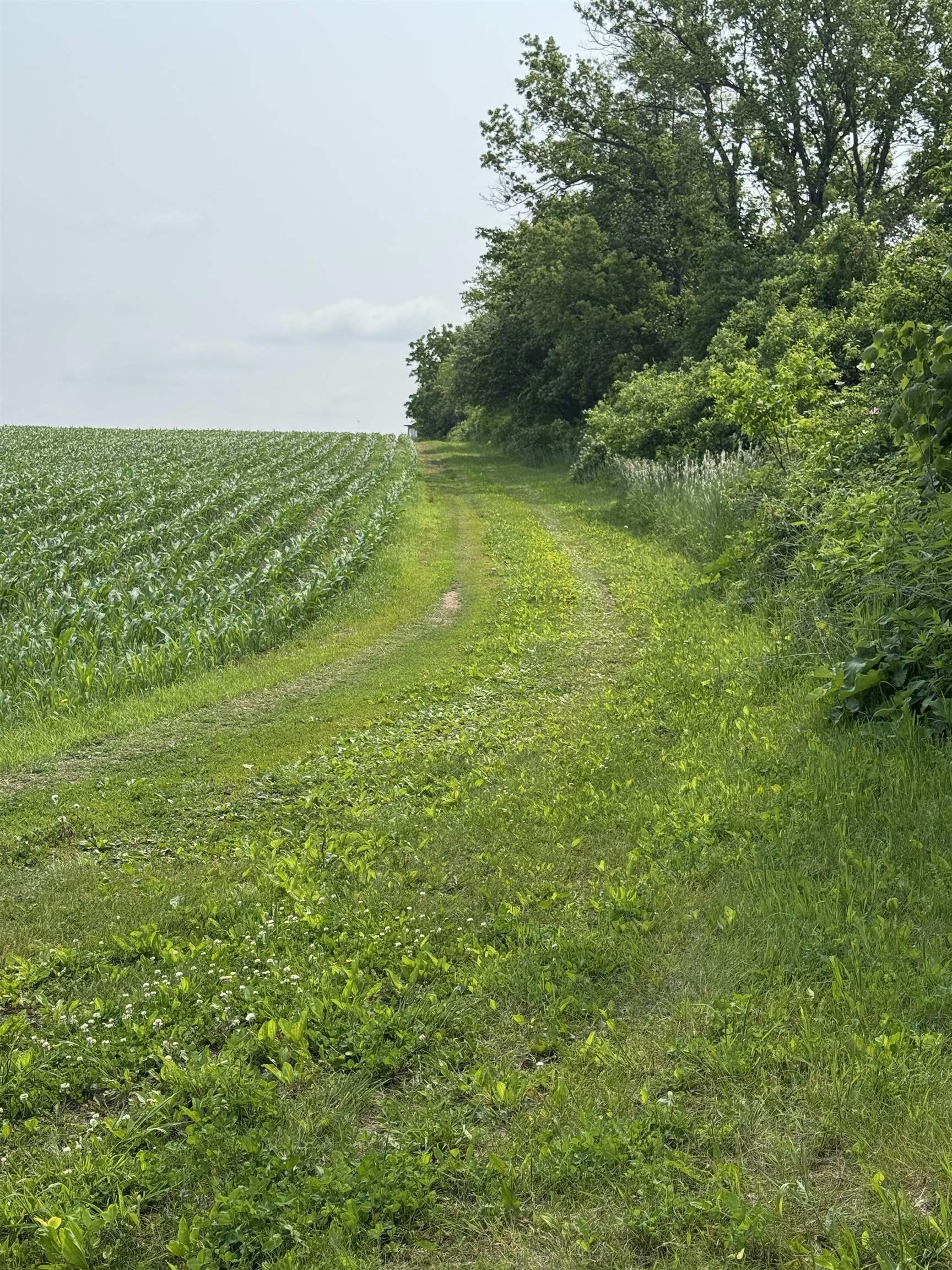 14.93 Ac County Road J