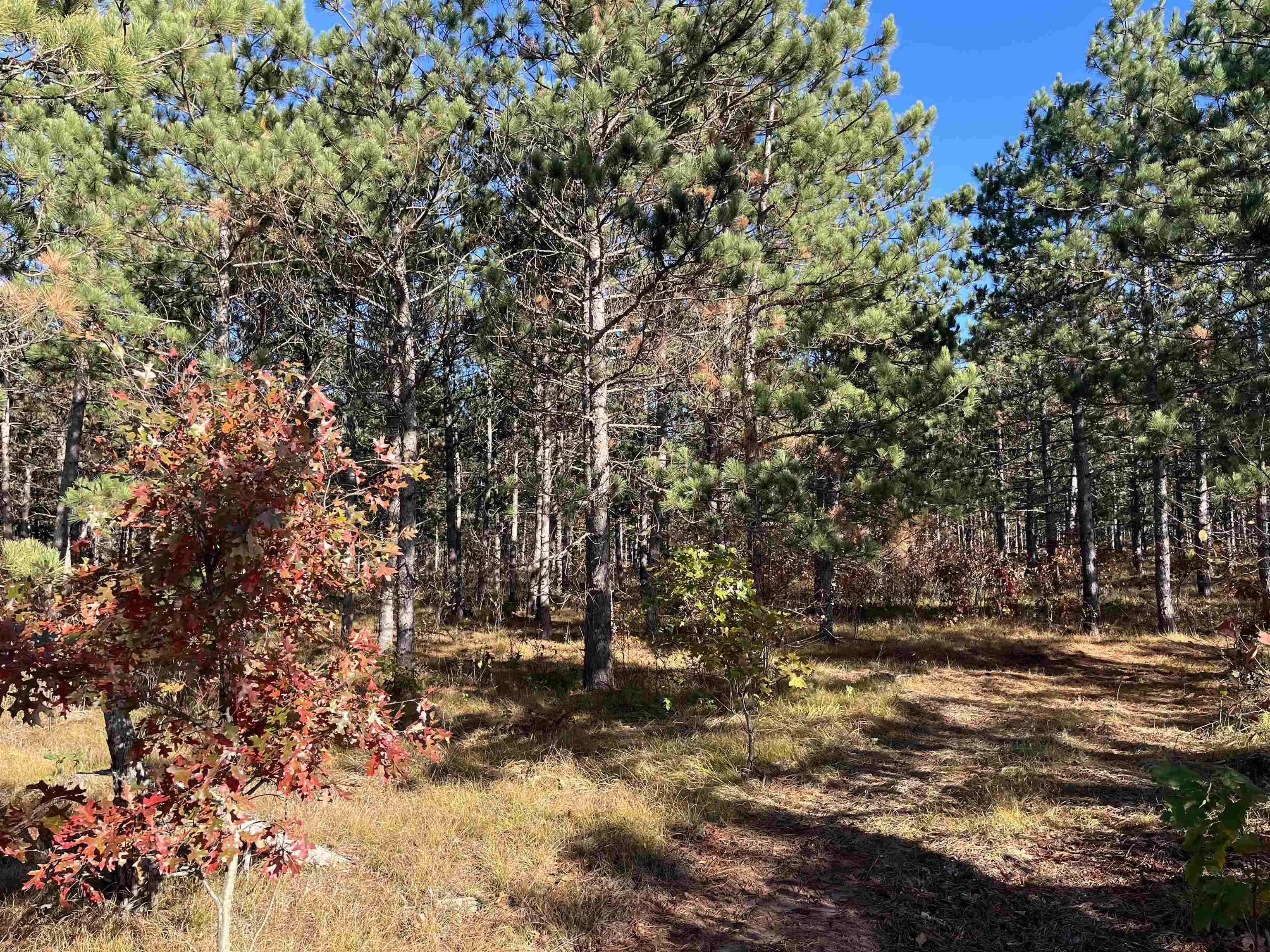 Lot 4 Luna Lane