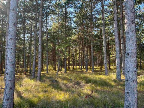 Lot 4 Luna Lane Nekoosa WI 54457