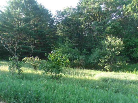 Photo of L4 Oak Street, Montello, WI 53949 (MLS # 1772857) Photo of L4 Oak Street, Montello, WI 53949 (MLS # 1772857)