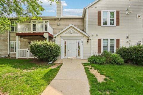 Photo of 809 Harbor House Drive 4 #4, Madison, WI 53719 (MLS # 2028833)