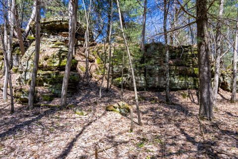 Photo of 30.73 ac County Road B, Grand Marsh, WI 53936 (MLS # 2021399)