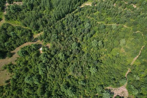 Tiny photo for 0000 State Hwy 21, Friendship, WI 53934 (MLS # 2006390)
