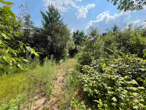 Tiny photo for 0000 State Hwy 21, Friendship, WI 53934 (MLS # 2006390)