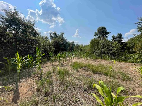 Tiny photo for 0000 State Hwy 21, Friendship, WI 53934 (MLS # 2006390)