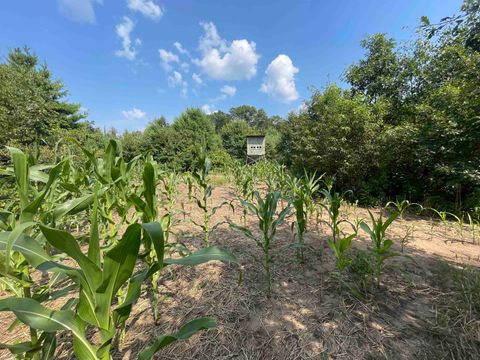 Tiny photo for 0000 State Hwy 21, Friendship, WI 53934 (MLS # 2006390)
