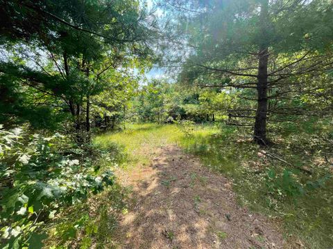 Tiny photo for 0000 State Hwy 21, Friendship, WI 53934 (MLS # 2006390)