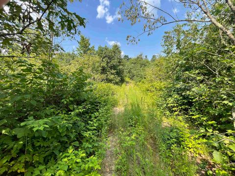 Tiny photo for 0000 State Hwy 21, Friendship, WI 53934 (MLS # 2006390)