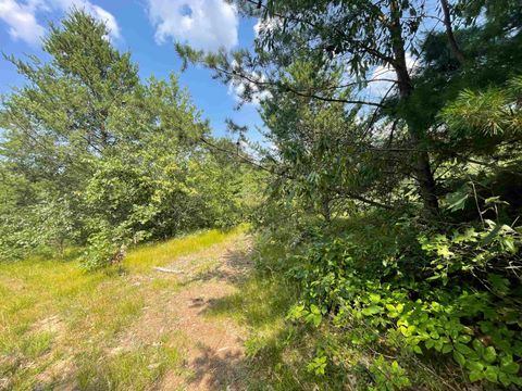 Tiny photo for 0000 State Hwy 21, Friendship, WI 53934 (MLS # 2006390)