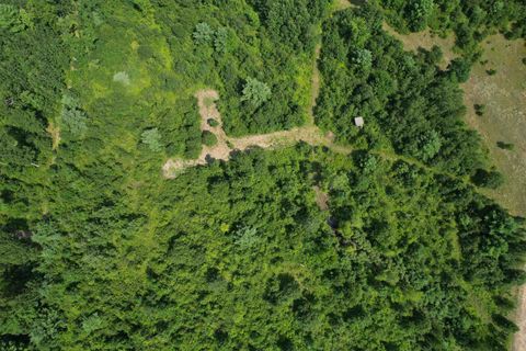 Tiny photo for 0000 State Hwy 21, Friendship, WI 53934 (MLS # 2006390)