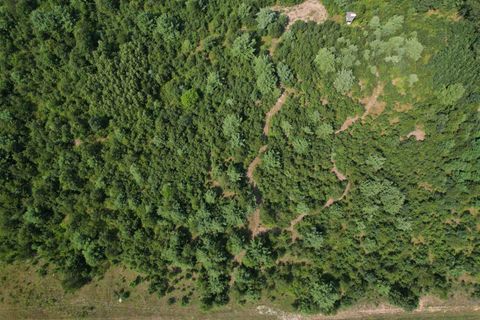 Tiny photo for 0000 State Hwy 21, Friendship, WI 53934 (MLS # 2006390)