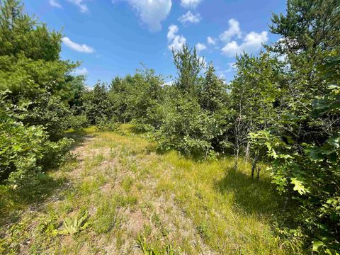 Tiny photo for 0000 State Hwy 21, Friendship, WI 53934 (MLS # 2006390)