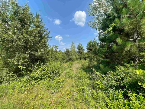 Tiny photo for 0000 State Hwy 21, Friendship, WI 53934 (MLS # 2006390)