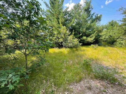 Tiny photo for 0000 State Hwy 21, Friendship, WI 53934 (MLS # 2006390)