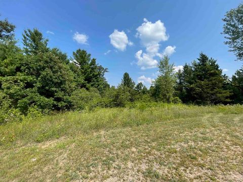 Tiny photo for 0000 State Hwy 21, Friendship, WI 53934 (MLS # 2006390)