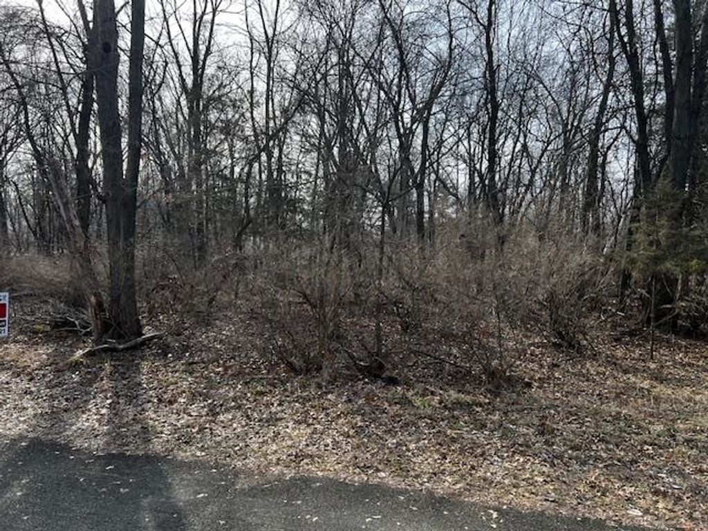 Photo for MOCCASIN Trail, Montello, WI 53949 (MLS # NE50287683)