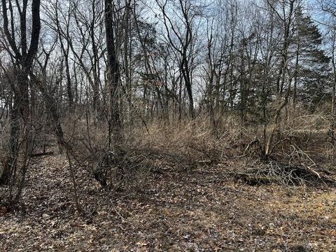Tiny photo for MOCCASIN Trail, Montello, WI 53949 (MLS # NE50287683)