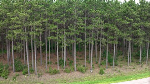 Tiny photo for 391 Twin Lakes Trail, Nekoosa, WI 54457 (MLS # 2005769)
