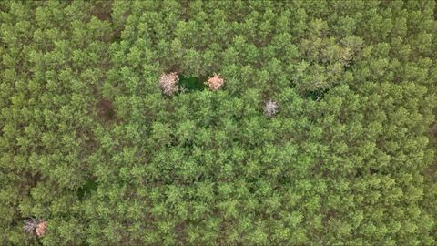 Tiny photo for 391 Twin Lakes Trail, Nekoosa, WI 54457 (MLS # 2005769)