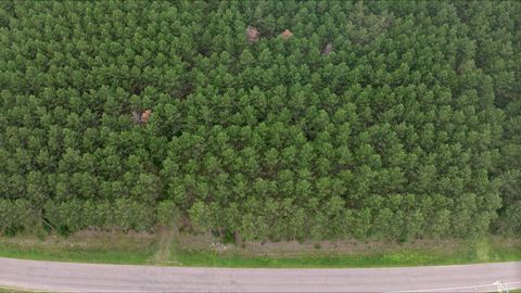 Tiny photo for 391 Twin Lakes Trail, Nekoosa, WI 54457 (MLS # 2005769)